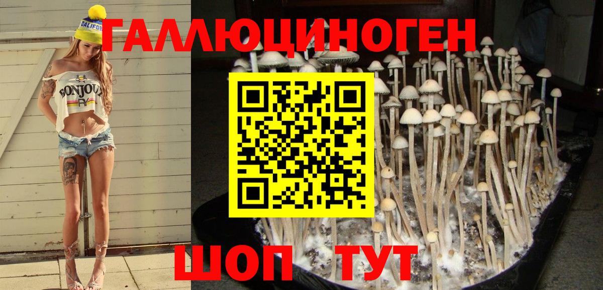 Псилоцибиновые грибы мицелий Верхний Уфалей
